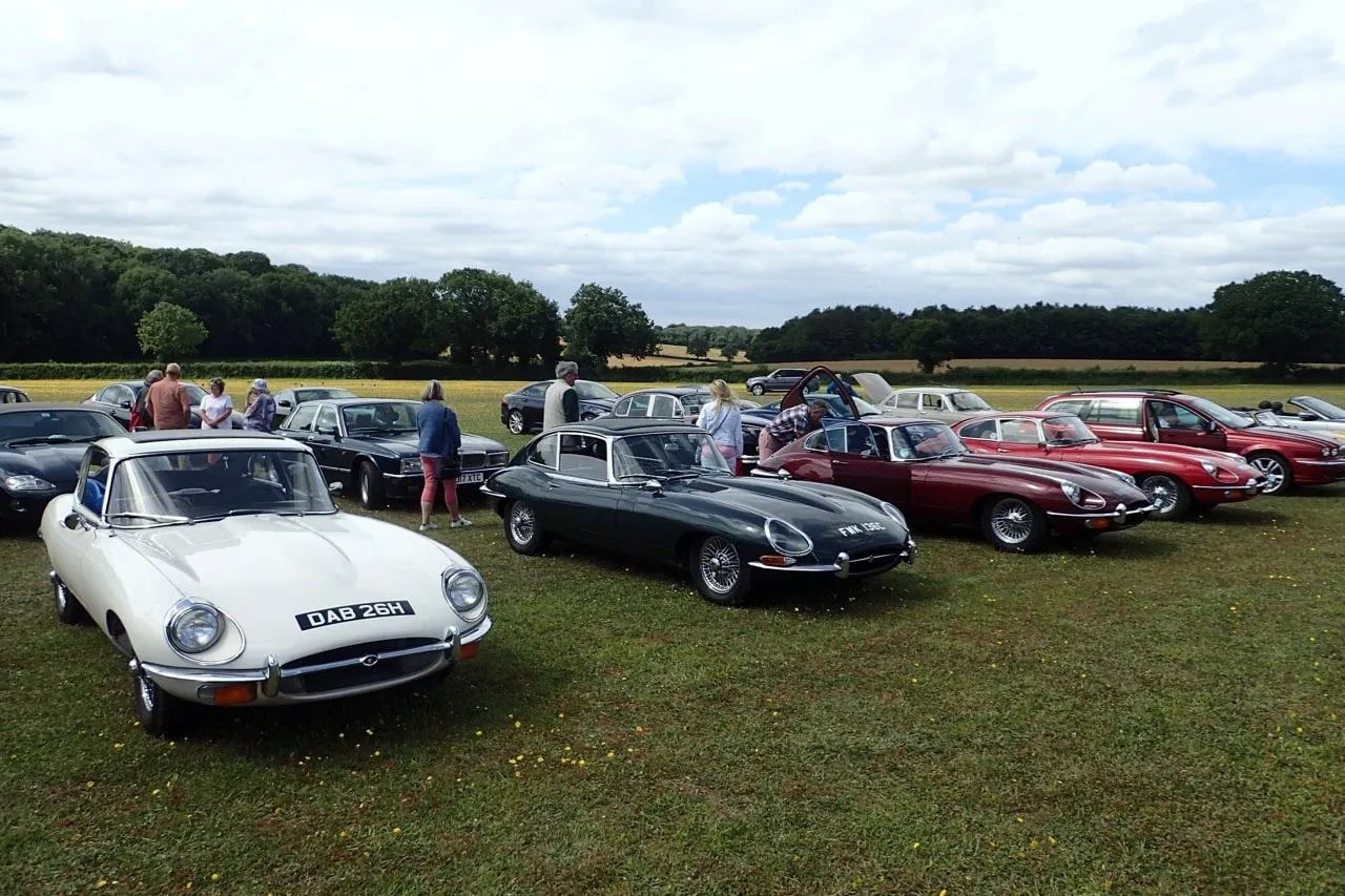 Members' E-types and other Jaguars lined up on the grass at the club fly day