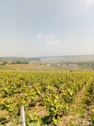 Brittany 2018 – From John and Angie Fox-Spencer, December 2018: photo 9 of 227