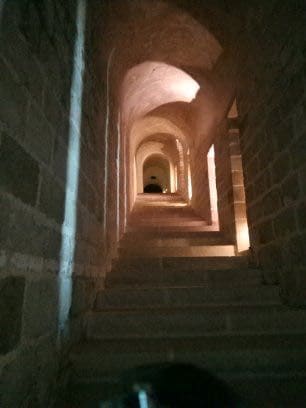 Brittany 2018 – From John and Angie Fox-Spencer, December 2018: photo 16 of 227