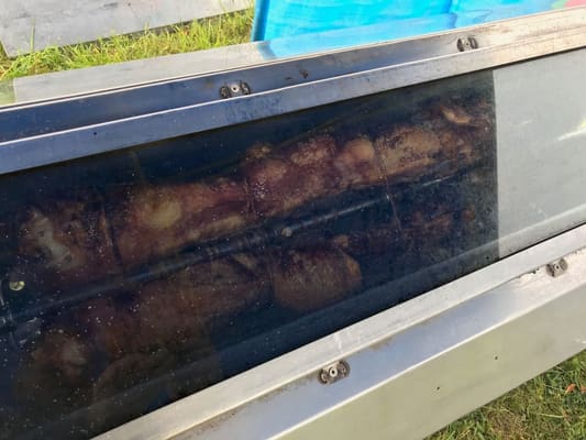 Flying Day at Popham June 2019, June 2019: photo 2 of 29