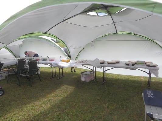 Flying Day at Popham June 2019, June 2019: photo 22 of 29