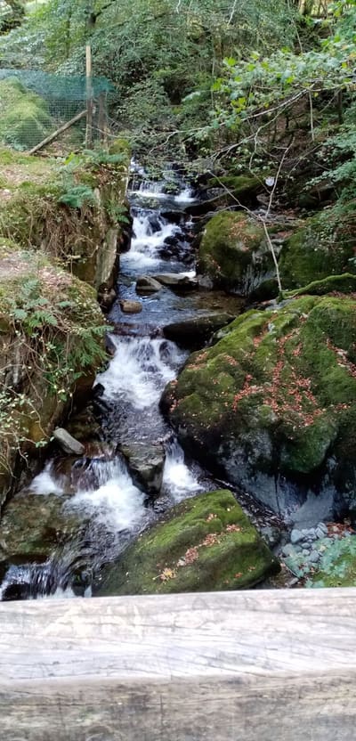 Lake District Tour – John & Angies' pictures, October 2020: photo 19 of 19
