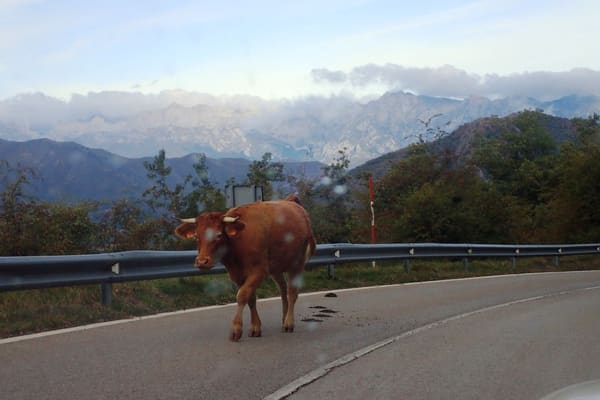 Northern Spain Road Trip, October 2022: photo 26 of 404