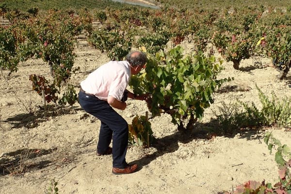 Northern Spain Road Trip, October 2022: photo 68 of 404