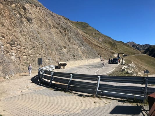 Pyrenees Tour, December 2024: photo 84 of 261