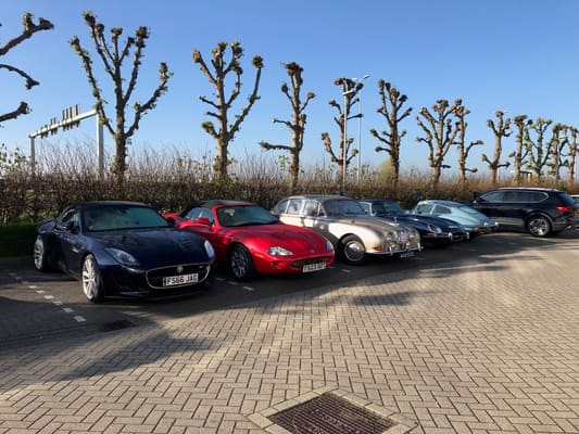 Belgium and Holland, April 2025: photo 22 of 58
