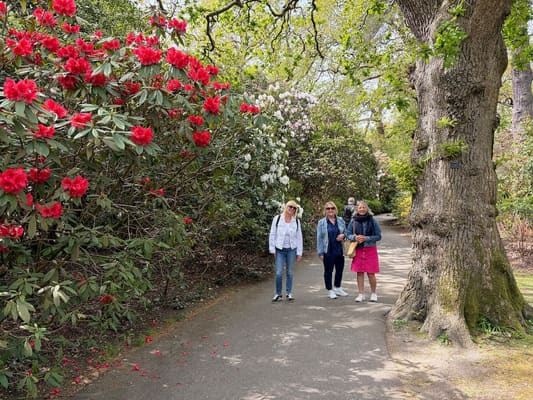 Drive it Day – Exbury Gardens, April 2026: photo 10 of 26