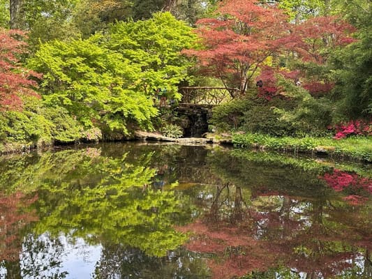 Drive it Day – Exbury Gardens, April 2026: photo 22 of 26