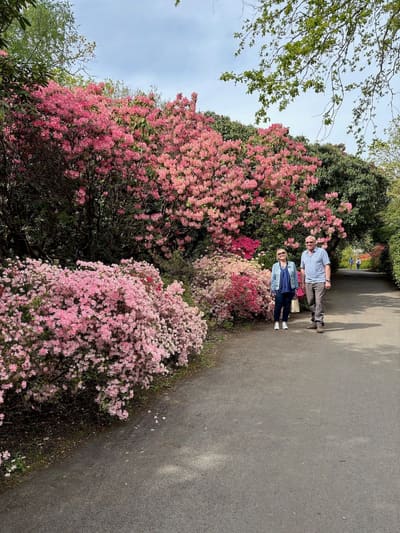 Drive it Day – Exbury Gardens, April 2026: photo 25 of 26